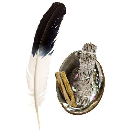 Feather Fanning Kit with Abalone Shell, Medium California White Sage, and Palo Santo Multicolor