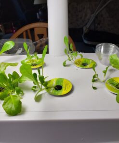 AeroGarden Salad Greens Mix Seed Pod Kit, 7 pod 28 811vtsh WsL