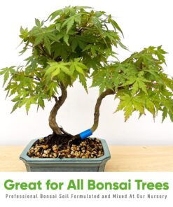 Bonsai Outlet Bonsai Soil Mix - Tinyroots All Purpose Bonsai Soil Mix Ready to Use Blend, Used for All Varieties of Bonsai Trees, 2.5 Gallons All-Purpose 14 811wQVu874L