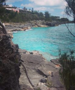 Life on Earth: Understanding Who We Are, How We Got Here, and What May Lie Ahead Hardcover, Big Book 9 8120XfqBrVL