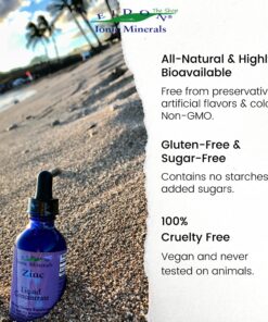 Eidon Ionic Minerals Liquid Zinc Concentrate - Ionic Zinc Supplement Drops for Adults and Kids, Support Immune System, Hair and Skin, Liver and Kidney Health, Relieves Stress - 2 oz 2 Fl Oz (Pack of 1) 10 8120pVnaj8L