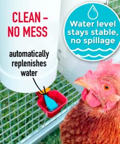 Royal Rooster Chicken Feeder and Chicken Waterer Set - 7 lb Poultry Chicken Feeder with Rain Cover and 1 Gallon Waterer System - Chicken Coop Accessories: Valve-Cup Waterer and Gravity-Feed Feeder Set 1-Cup Waterer 19 8127OgDHRrL
