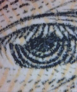 Opti-Tekscope Digital USB Microscope Camera- Advanced CMOS Sensor, True High Definition Macro 200x Zoom Imaging –1600 x 1200, Video, Flexible Acrylic Stand, 8 LED, Windows Mac Linux 24 8128GFOmbML 1