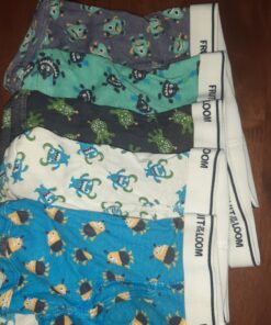 Fruit of the Loom Boys' Toddler 5 Pack Assorted Print & Solid Boxer Briefs 2-3T Multicolor/Assorted 13 81295tWSSL