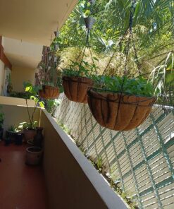 Sow Right Seeds - Flower Seed Collection - Carnation, Gayfeather, Dahlia, Morning Glory, Larkspur, Balsam, Snapdragon, Phlox, Zinnia, & Daisy - Non GMO Heirloom Seeds for Planting - 10 Packets 40 812BzJen4lL 1