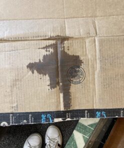 Bang Energy Bangster Berry, Sugar-Free Energy Drink, 16-Ounce (Pack of 12) 16 Fl Oz (Pack of 12) 17 812Cm5jiPJL