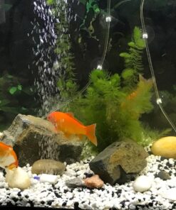 Penn-Plax Standard Airline Tubing for Aquariums – Clear and Flexible – Resists Kinking – Safe for Freshwater and Saltwater Fish Tanks – 25 Feet 34 812DiGmopuL