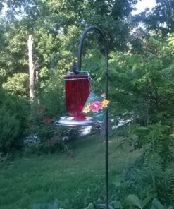 Perky-Pet 786-1SR Mason Jar Vintage Glass Hummingbird Feeder - Outdoor Garden Décor - 32-oz Red Mason Jar 34 812G0eBpj4L