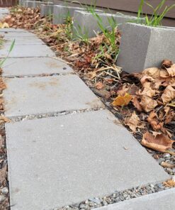 Backyard Morel Mushroom Growing Kit - MOREL HABITAT KIT ® 32 812HiobEgZL