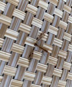 Thermacell Mosquito Repellent Fuel-Only Refills; Compatible with Any Fuel-Powered Thermacell Repeller; Highly Effective, Long Lasting, No Spray or Mess; 15 Foot Zone of Mosquito Protection 27 812I5pdNPFL