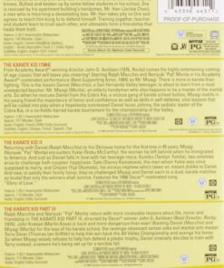 The Karate Kid Collection DVD April 1, 2015 10 812IjCcHdDL