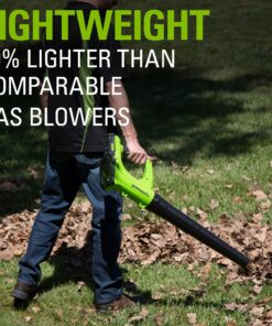 Greenworks 24V Cordless String Trimmer and Blower Combo Pack, 2Ah Battery and Charger Included STBA24B210 12" Trimmer + Blower (2.0Ah) 25 812KFt5oNMS