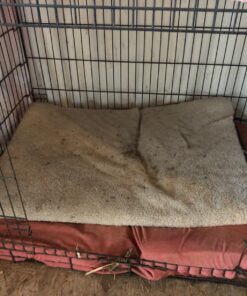 K&H Pet Products Outdoor Heated Dog Pad Tan Large 25 X 36 Inches 36.0"L x 25.0"W x 2.0"Th Retail Box 38 812KLBtoB8L