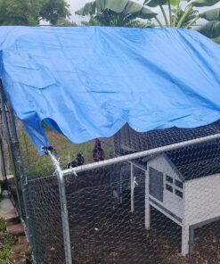 Grizzly Tarps by B-Air 8' x 10' Large Multi-Purpose Waterproof Heavy Duty Poly Tarp with Grommets Every 36", 8x8 Weave, 5 Mil Thick, for Home, Boats, Cars, Camping, Protective Cover, Blue 8' x 10' 43 812LJd4sBL