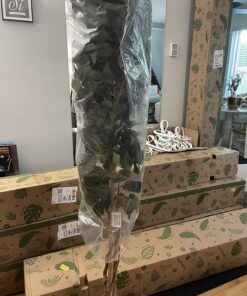 Nearly Natural 7ft. Ficus Artificial Tree, Green 84 in Trees 36 812MJFEwczL