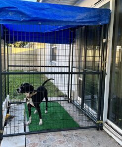 Grizzly Tarps by B-Air 8' x 10' Large Multi-Purpose Waterproof Heavy Duty Poly Tarp with Grommets Every 36", 8x8 Weave, 5 Mil Thick, for Home, Boats, Cars, Camping, Protective Cover, Blue 8' x 10' 46 812PJ1q06L