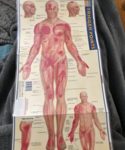 Trigger Points (Quick Study Academic) Pamphlet, Illustrated 23 812PKsECfkL