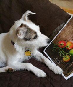 INK4WORK Compatible Ink Cartridge Replacement for Canon PGI-250XL PGI250XL CLI-251XL CLI251 XL Pixma IP7220, MG5420, MG6320, MX722, MX922 (30-Pack) 18 812PX15g2UL