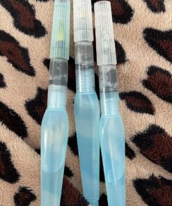 Pentel Arts Aquash Water Brush Assorted Tips, 4 Pack Carded (FRHBP4M), White, Small 4 Pack Assorted 31 812QKmBd3CL