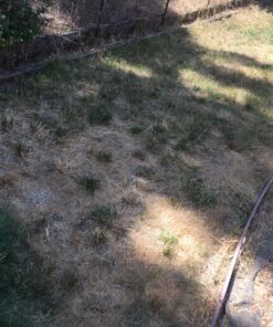 Lawnlift Ultra Concentrated (Green) Grass Paint 8oz. = 2.5 Quarts of Product. 18 812RXHjV9yL