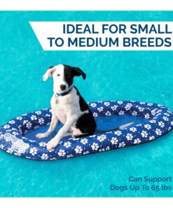 SwimWays Paddle Paws Spring Float Dog Raft, Small (0-65 lbs.) 19 812SnudOAXL