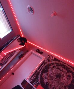 REEMEER Led Lights 100ft(2 Rolls of 50ft) Smart APP Control Music Sync Led Strip Lights RGB Color Changing Led Lights Strips with Remote Led Lights for Bedroom Kitchen and Party 100 ft 28 812SphJzvbL