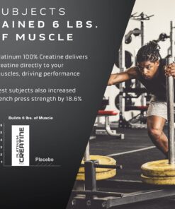 Creatine Monohydrate Powder | MuscleTech Platinum | Pure Micronized | Muscle Recovery + Builder for Men & Women | Workout Supplements | Unflavored (80 Servings) 80 Servings 31 812TqCB7Y3S