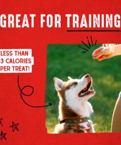 Stella & Chewy's Freeze-Dried Raw Carnivore Crunch Cage-Free Duck Recipe Dog Treats – 3.25 oz. Bag 3.25 Ounce (Pack of 1) 24 812X5OoGaAL 1