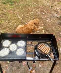 Camp Chef Reversible Pre-Seasoned Cast Iron Griddle, Cooking Surface 14 in. x 16 21 812Xhc nVL