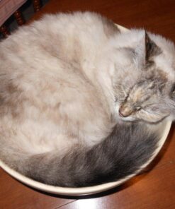 Wellington Cordage 11345 1/4-Inch X 100-Feet Natural Fiber Twisted Sisal Strand Rope / Twine 14 812cC2VMeYL