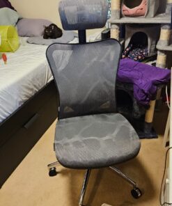 SIHOO M57 Ergonomic Office Chair with 3 Way Armrests Lumbar Support and Adjustable Headrest High Back Tilt Function Grey 41 812hvGQ3ceL