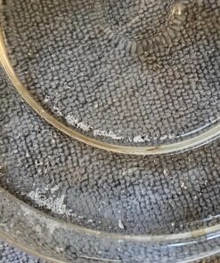 Descaler (2 Pack, 2 Uses Per Bottle) - Made in the USA - Universal Descaling Solution for Keurig, Nespresso, Delonghi and All Single Use Coffee and Espresso Machines 8 Fl Oz (Pack of 2) 25 812jpPaDTjL