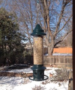 Squirrel Buster Plus Squirrel-proof Bird Feeder w/Cardinal Ring and 6 Feeding Ports, 5.1-pound Seed Capacity, Adjustable, Pole-mountable (POLE ADAPTOR SOLD SEPARATELY), Green 51 812knHqvy2L