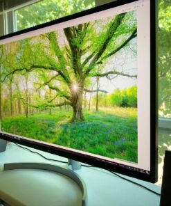 LG UltraFine 32-Inch Computer Monitor 32UL500-W, VA with HDR 10 Compatibility and AMD FreeSync, White 61 812lH6d0sHL
