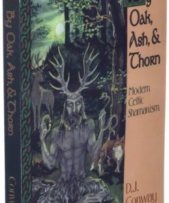 By Oak, Ash, & Thorn: Modern Celtic Shamanism (Llewellyn's Celtic Wisdom) Paperback 7 812lItOUYpL
