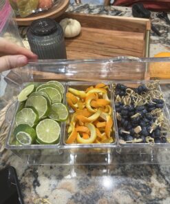 Oaklyn Large Clear Condiment Server Organizer on Ice with Containers and Lid – BPA-Free Serving Bar Compartments and Plastic Box Tray – Chilled Caddy Dispenser Set - Holds 80 oz Total 27 812ms7s5qQL