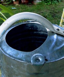 Behrens 2-1/2-Gallon 210 Steel Watering Can, Silver 28 812n4xh1vwL