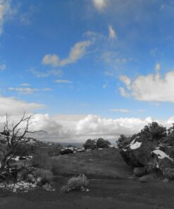 Nikon COOLPIX S3700 Digital Camera with 8x Optical Zoom and Built-In Wi-Fi (Silver) Silver Base 10 812nOIxMzNL