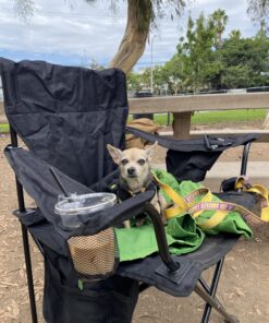 Coleman Portable Camping Chair with 4-Can Cooler, Fully Cushioned Seat and Back with Side Pocket and Cup Holder, Carry Bag Included, Collapsible Chair for Camping, Tailgates, Beach, and Sports Black 27 812qNhRMhEL