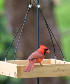 Wild Wings WWCF23 Cedar Tray Bird Feeder 26 812suuQ4tUL