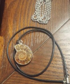 JOYA GIFT Charm Handmade Natural Conch Fossil Ammonite By Silver Wrapped Pendant Necklace (1 PCE). 57 812uhzHEsL