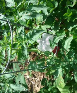 Recycle a Plastic Bottle Stake Set with Adapter 1 27 812zSSQEBvL