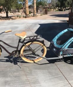 Instep Bike Trailer for Toddlers, Kids, Single and Double Seat, 2-In-1 Canopy Carrier, Multiple Colors Light Blue 39 8131ZuiaaHL