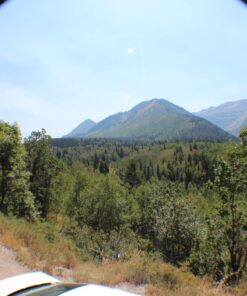 Altura Photo 58MM 0.35x Fisheye Canon Wide Angle Lens (w/Macro Portion) for DSLR Cameras EOS Rebel 70D 77D 80D 90D T8i T7 T7i T6i T6s T6 T5i T5 T4i T3i T100 SL1 SL2 SL3 - Canon Mount 44 8135EGy1ApL