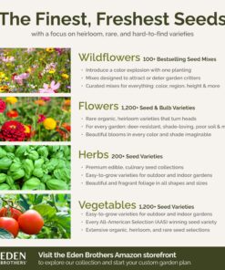 Eden Brothers All Perennial Wildflower Mixed Seeds for Planting, 1/4 lb, 120,000+ Seeds with Lupine, Shasta Daisy | Attracts Pollinators, Plant in Spring or Fall, Zones 3, 4, 5, 6, 7, 8, 9, 10 1/4 Pound 37 8136xJYDUSL