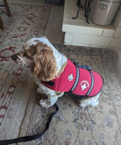 Paws Aboard Dog Life Jacket - Keep Your Canine Safe with a Neoprene Designer Life Vest - Perfect for Swimming and Boating - Red, Medium 22 8137HQvZjYL