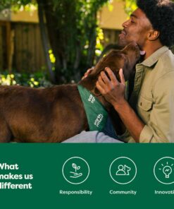 Earth Rated Dog Poop Bags with Handles, New Look, Easy Tie and Guaranteed Leakproof, Lavender Scented, 120 Handle Bags 120 Count (Pack of 1) Lavender-Scented 36 8139cYT UxL 2