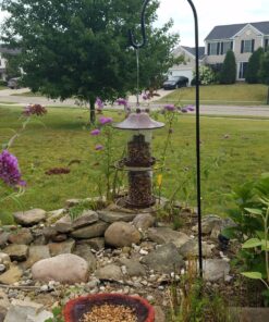 Perky-Pet 325S Panorama Bird Feeder 32 813BEWNQ35L