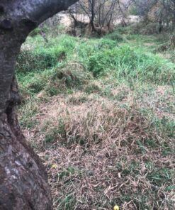 GhostBlind 4-Panel Predator Blind, Silver 42 813Bfsq8hKL