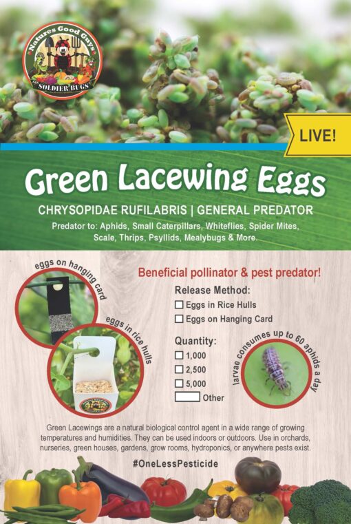 Nature's Good Guys Green Lacewing 5,000 Eggs